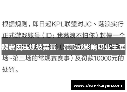 魏震因违规被禁赛,罚款或影响职业生涯 魏震因违规被禁赛,罚款或影响职业生涯