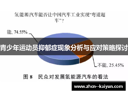 青少年运动员抑郁症现象分析与应对策略探讨